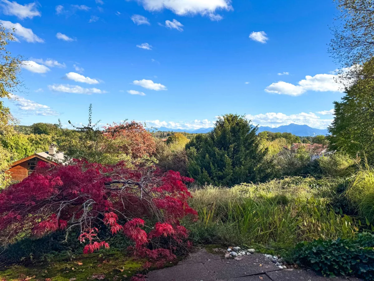 Herbstimpressionen