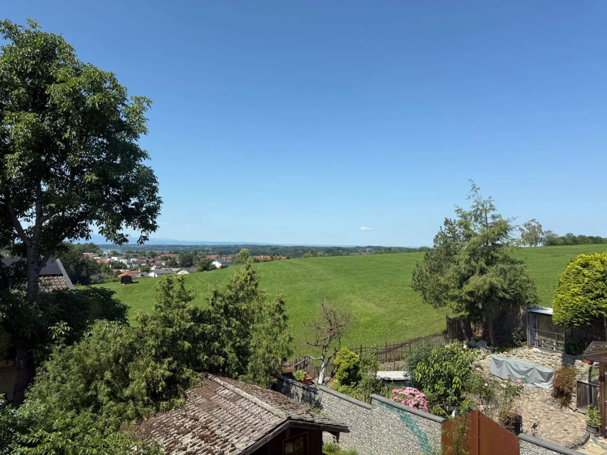Ausblick