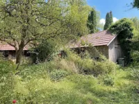 Garten (KI entmöbliert)