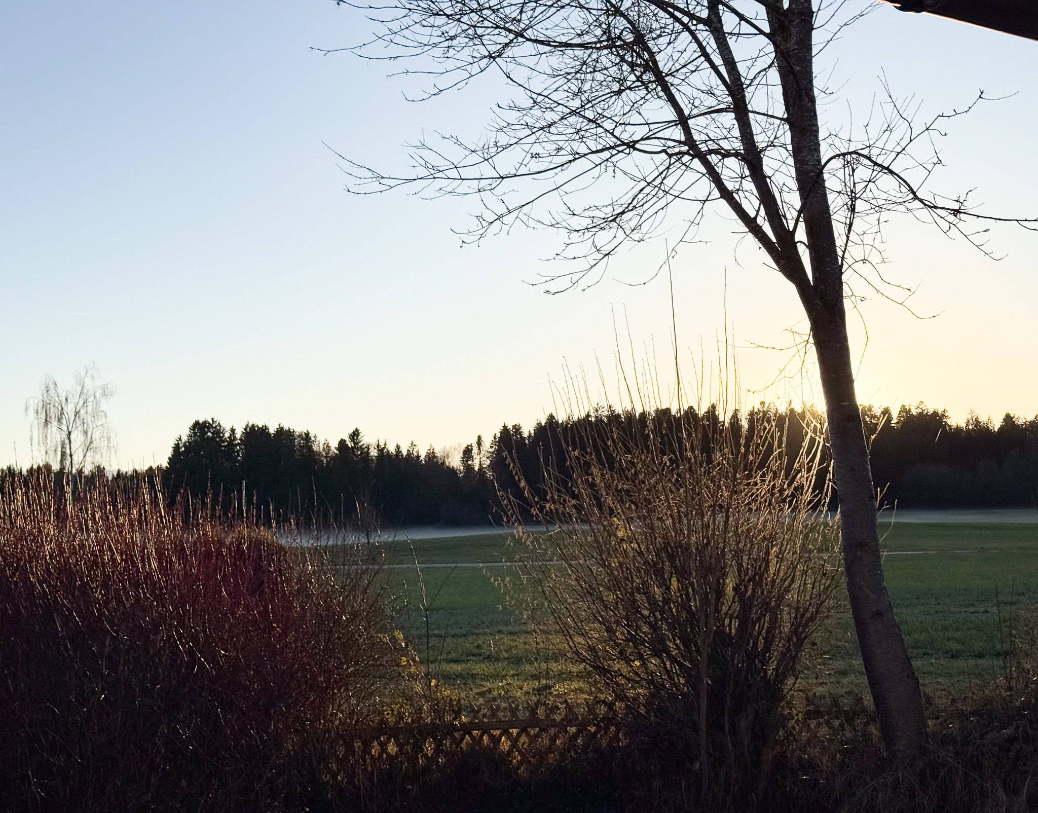 Blick über die Wiesen
