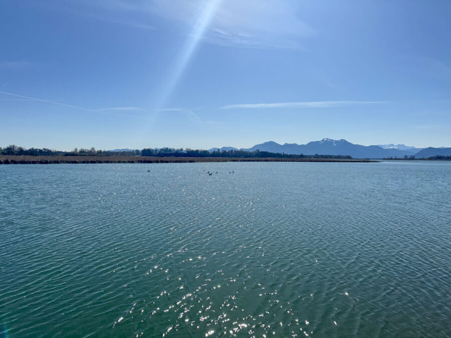 Verkauf gegen Gebot - Kernsaniertes EFH mit See- und Bergblick, Chiemseeperle sucht neuen Besitzer! - Ausblick von der Badeplattform