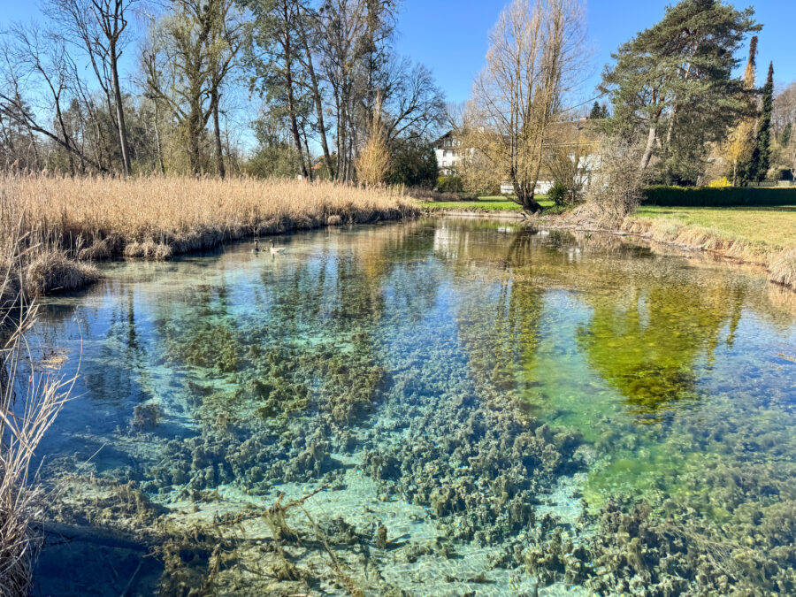 Verkauf gegen Gebot - Kernsaniertes EFH mit See- und Bergblick, Chiemseeperle sucht neuen Besitzer! - Naturschutzgebiet