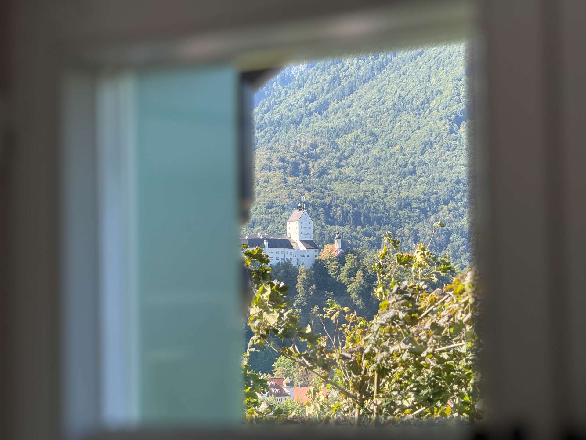 DETAIL BLICK