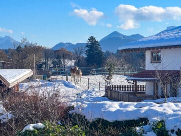 Vielseitig nutzbares EFH mit mit unverbaubarem Bergblick in Traumlage nahe Prien, 83209 Prien am Chiemsee, Einfamilienhaus