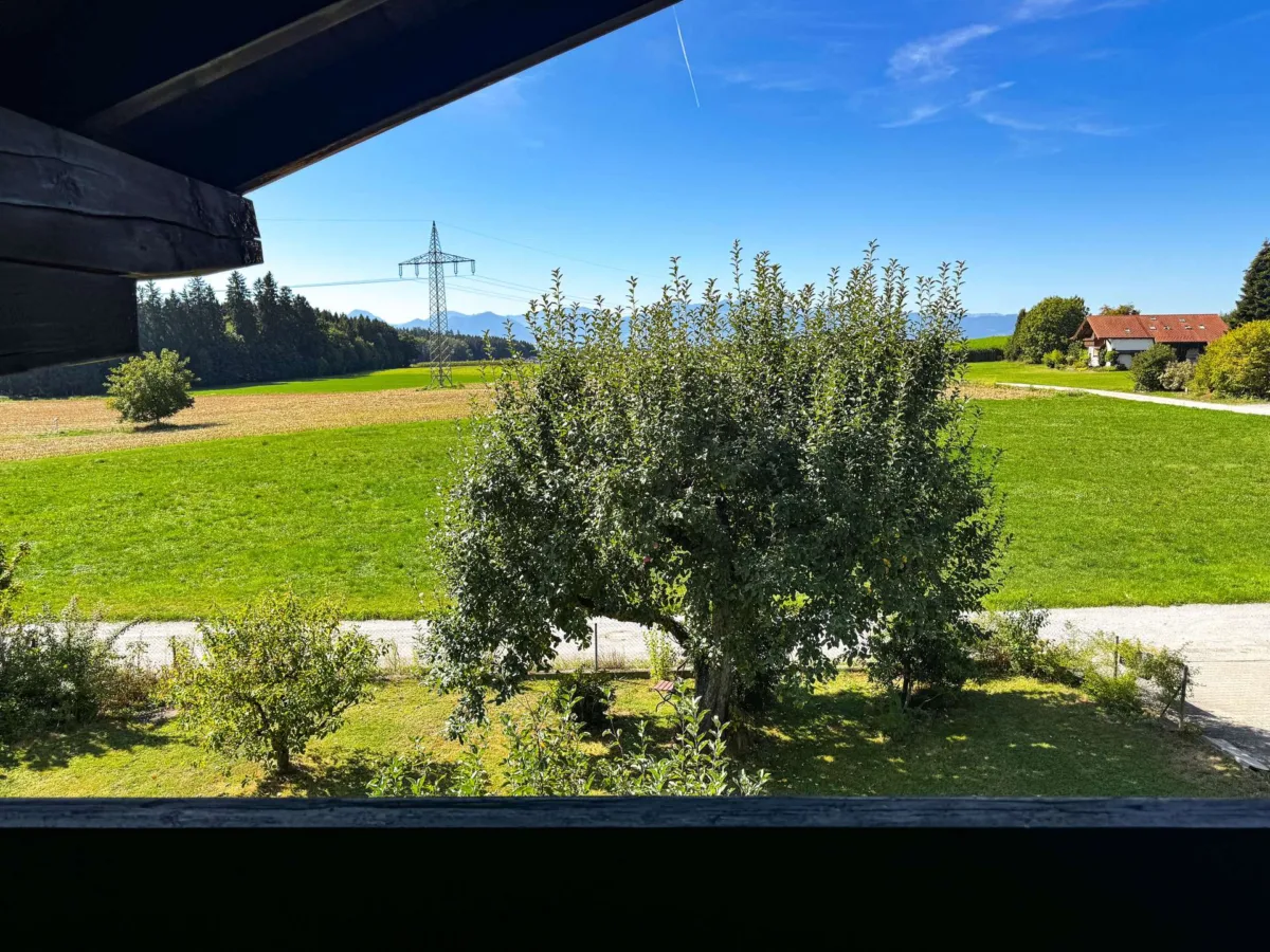 Ausblick vom Balkon DG