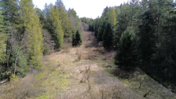 Landwirtschaftliche Fläche mit Wald und Wiese, 83125 Eggstätt, Grundstück