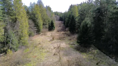 Landwirtschaftliche Fläche mit Wald und Wiese, 83125 Eggstätt, Grundstück