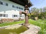 Brunnen im Garten