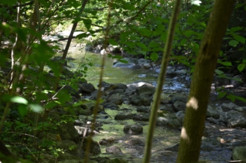 GST mit Altbestand in naturnaher Lage mit Bergblick zur Neugestaltung, 83246 Unterwössen, Wohngrundstück