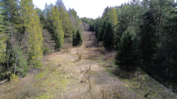 Landwirtschaftliche Fläche mit Wald und Wiese, 83125 Eggstätt, Land-/Forstwirtschaft