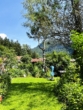 Garten - ZFH in sonniger Lage mit Bergblick zur Sanierung & Neugestaltung
